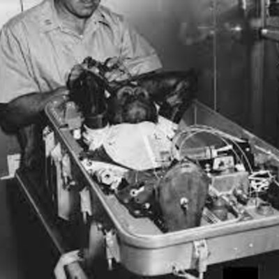 Timeline:  EL REMPLAZO DE ANIMALES EN LA EXPERIMENTACIÓN