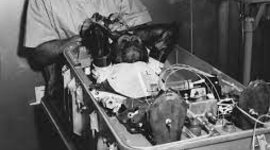 Timeline:  EL REMPLAZO DE ANIMALES EN LA EXPERIMENTACIÓN