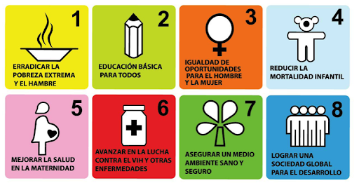 Cumbre del Milenio "Metas del Milenio"