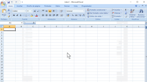 Excel 12.0
