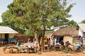 The kind of entrepreneuship that can be developed