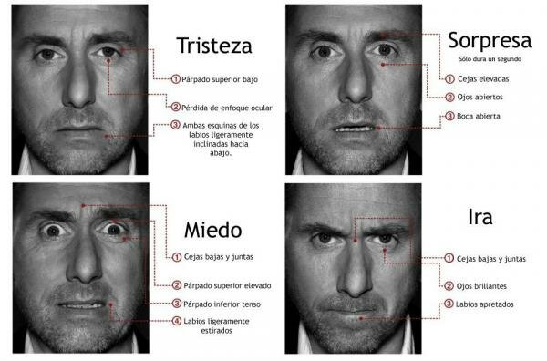 Componente conductual