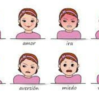 Timeline: Componentes básico y modelos de estudios de las emociones