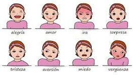 Timeline: Componentes básico y modelos de estudios de las emociones