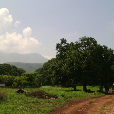 Timeline: Sucesos de la vida y el tiempo.