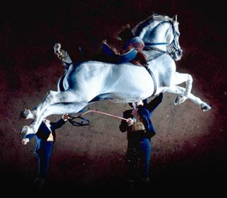 Espectáculo ecuestre “Cómo Bailan los Caballos Andaluces”