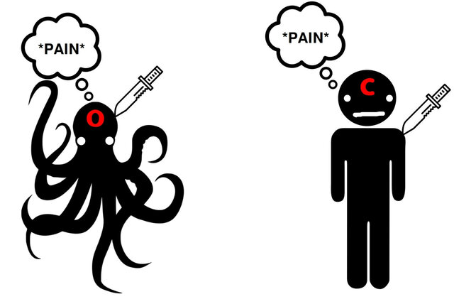 Psychological Predicates and Multiple Realizability