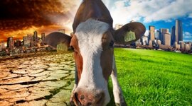 Timeline: Acciones climaticas en el sector de la ganaderia