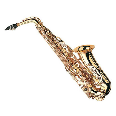 Ejercicio sugerido 5: Adolescencia (12 a los 20 años)