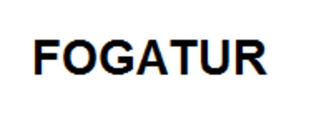 Creación del FOGATUR