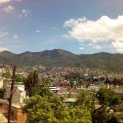Timeline: reforestación urbana y residencial, para disminución de temperaturas, captación en mantos acuíferos y regreso de diversidad aviaria. Caso: Cuautepec