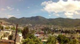 Timeline: reforestación urbana y residencial, para disminución de temperaturas, captación en mantos acuíferos y regreso de diversidad aviaria. Caso: Cuautepec