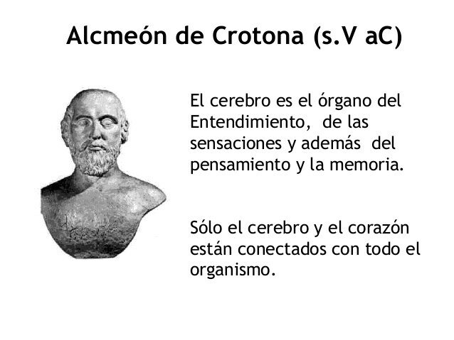 Alcmeón de Crotona 550 a.C