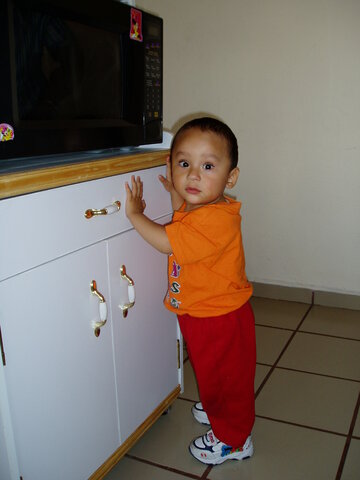 Hitos de la infancia