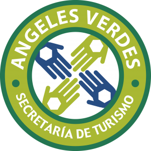 Integración del servicio Ángeles Verdes