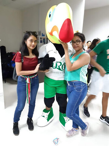 Ingreso de la Universidad