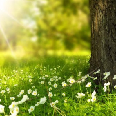 Timeline: Historia de la tierra y la naturaleza