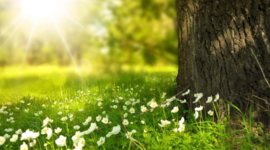 Timeline: Historia de la tierra y la naturaleza