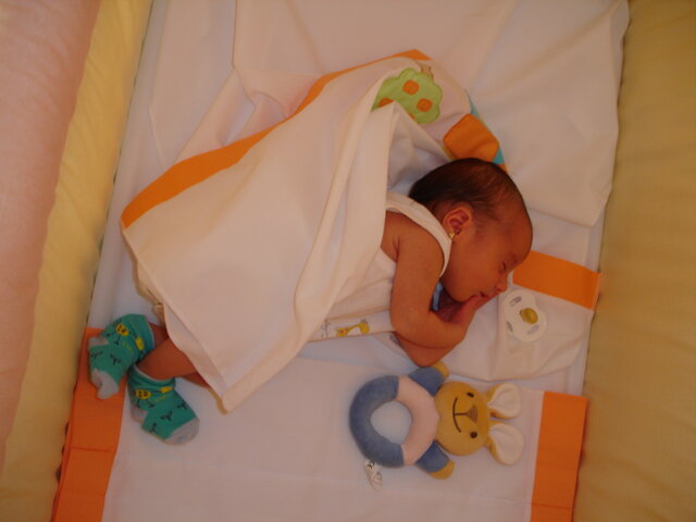 el dia que vaig nèixer