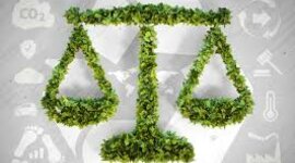 Timeline: Los Principios generales del derecho internacional ambiental