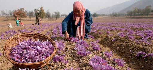 What type of entrepreneurship can be developed?