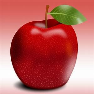 New Professional Journey/Position