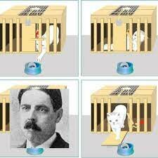 condionamiento instrumental: los gatos de throrndike 1874 - 1949
