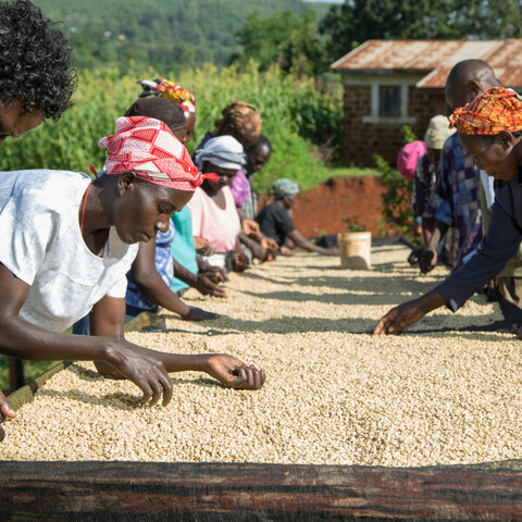 What are the potential benefits for the local communtiy?