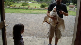 Timeline: sociologia 1a batx