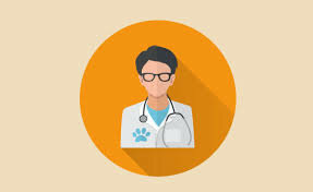 Ejercicio sugerido 5: Adolescencia (12 a los 20 años)