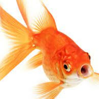 Timeline: Timeline Greece and Rome