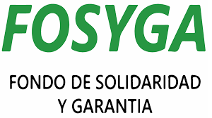 FOSYGA Fondo de seguridad y garantía