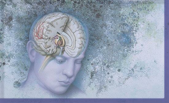 ÉPOCA CONTEMPORANEA. Psicología de la conducta.