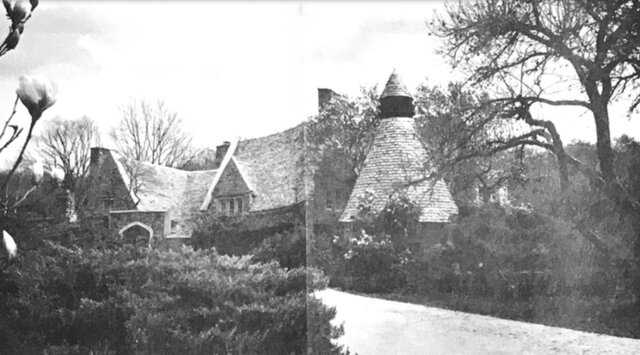 AMS founded by Nancy Rambusch