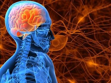 ÉPOCA CONTEMPORANEA. Psicología de la conducta.