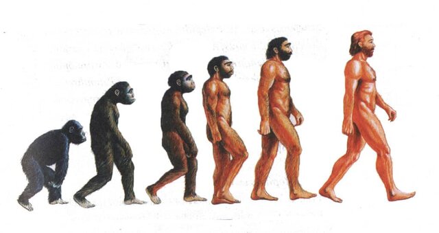 Comparsa dei primati