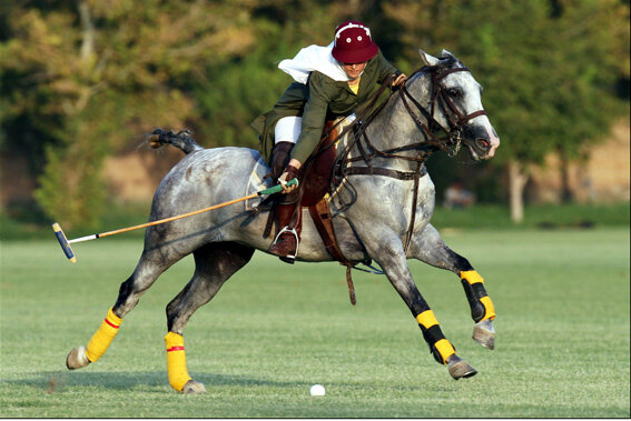 Polo arcaico