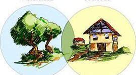 Timeline: Hombre y naturaleza