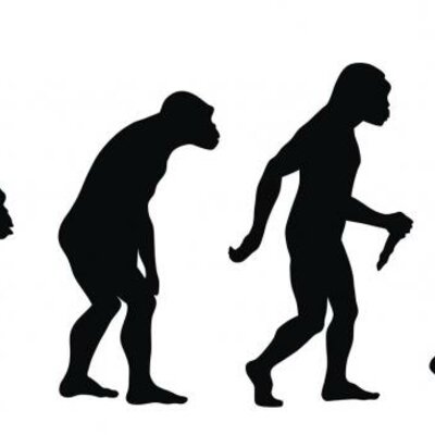 Timeline: Historia del hombre