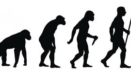 Timeline: Historia del hombre