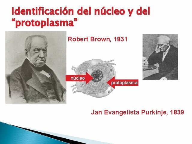 1839----Jan E. Purkinje.