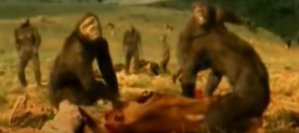 Autralopiteco Anamensis