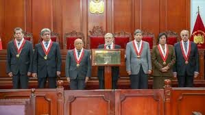 El consejo constitucional