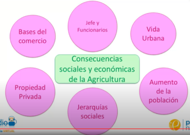 Consecuencias de la agricultura