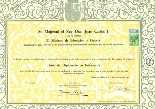 DIPLOMADO EN ENFERMERIA