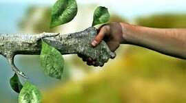 Timeline: Desarrollo histórico socioambiental en la humanidad