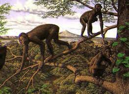 Hace aprox. 10 a 6 millones de años