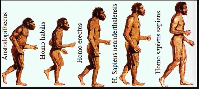 Hace 2.8 millones de años aprox.