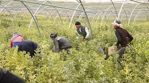 What kind of entrepreneurship can be developed