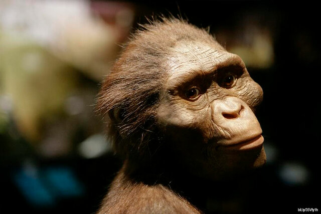 Hace aprox. 4 millones de años